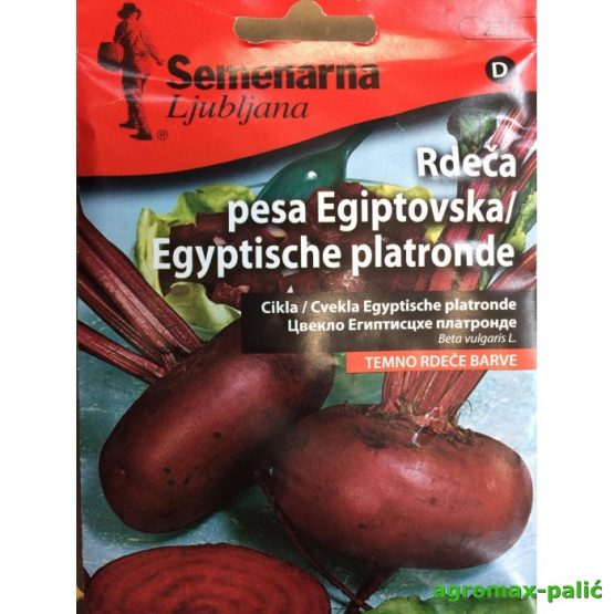 Cvekla Egipatska