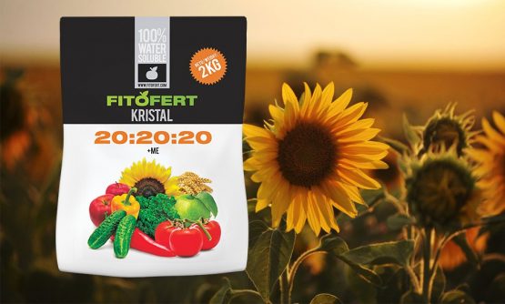 Fitofert Kristal 20:20:20