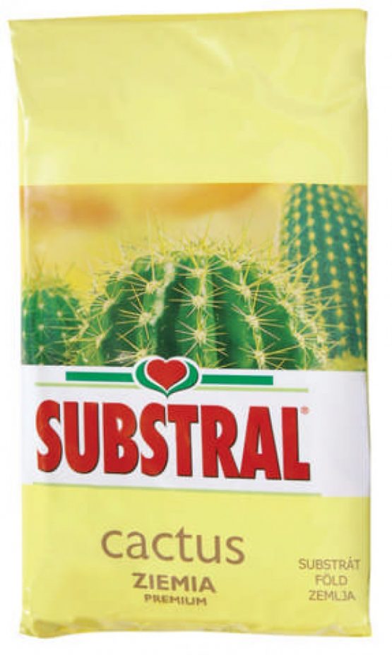 Substral za kaktuse