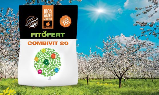 Fitofert Combivit 20