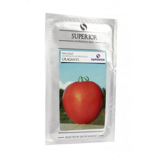 Paradajz Uragan
