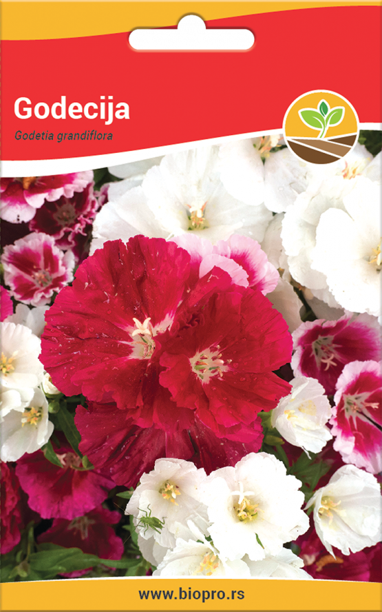 godecija
