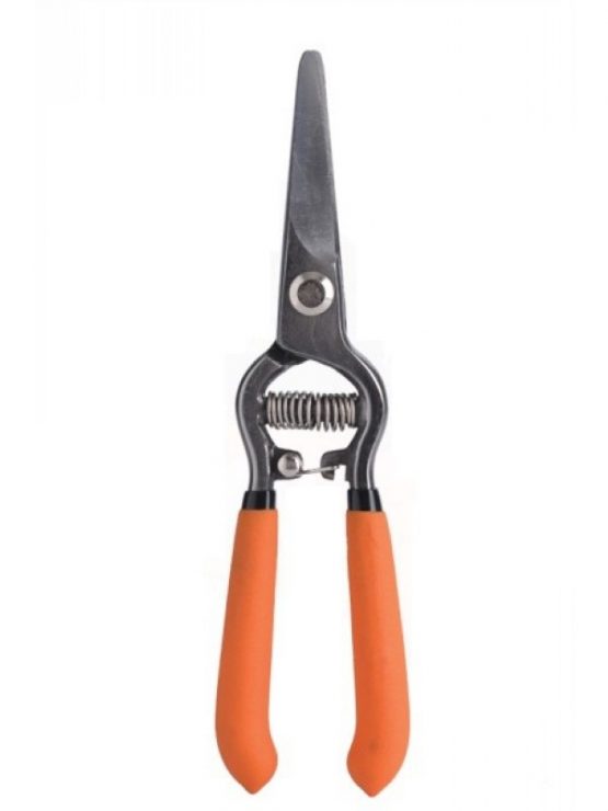 Makaze vinogradarske