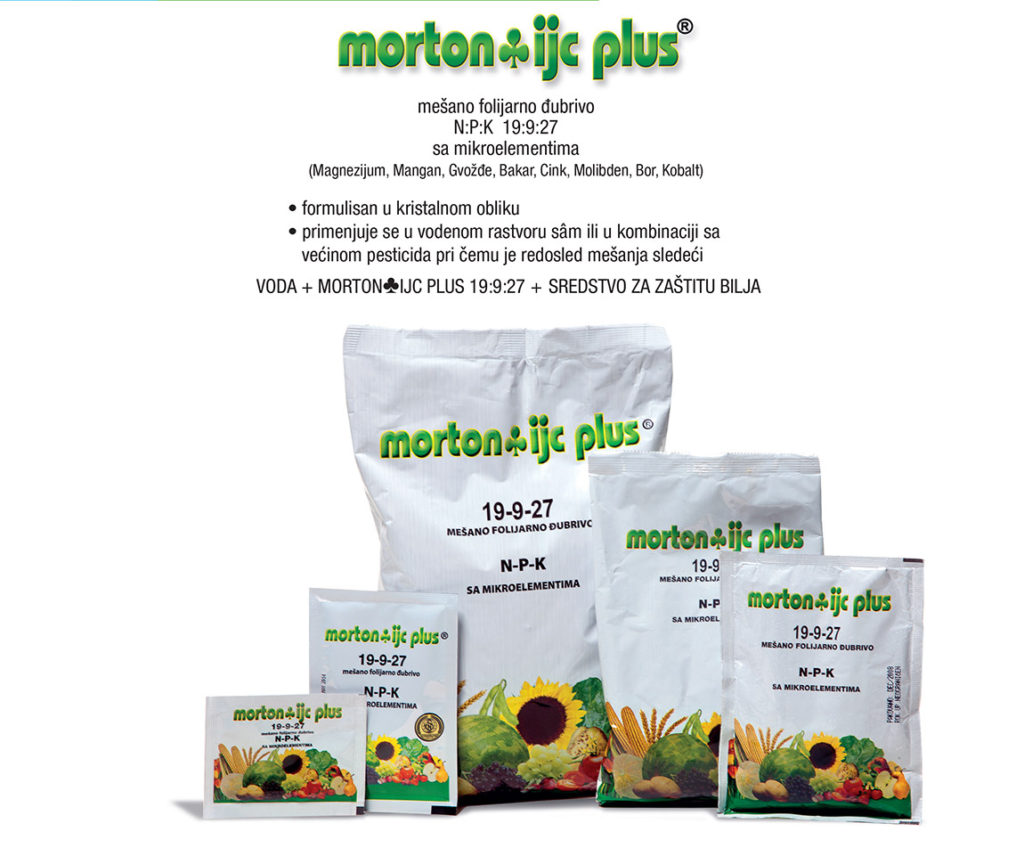 Mortonijc plus 19-9-27