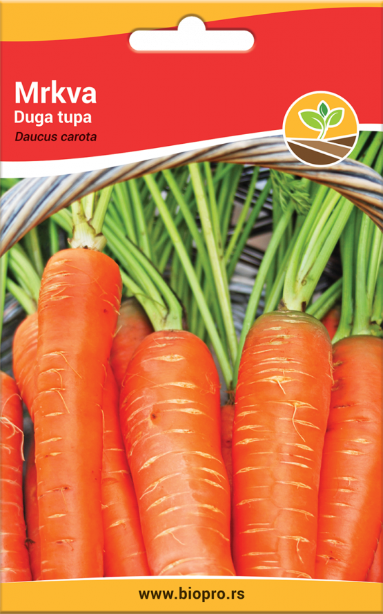 mrkva duga tupa sargarepa