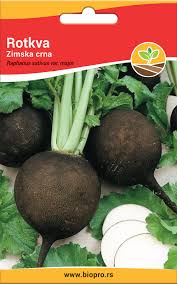 Rotkva zimska crna