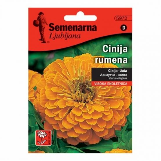 Cinija (Lepi čovek) žuta