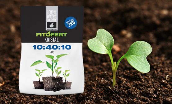 Fitofert Kristal 10:40:10