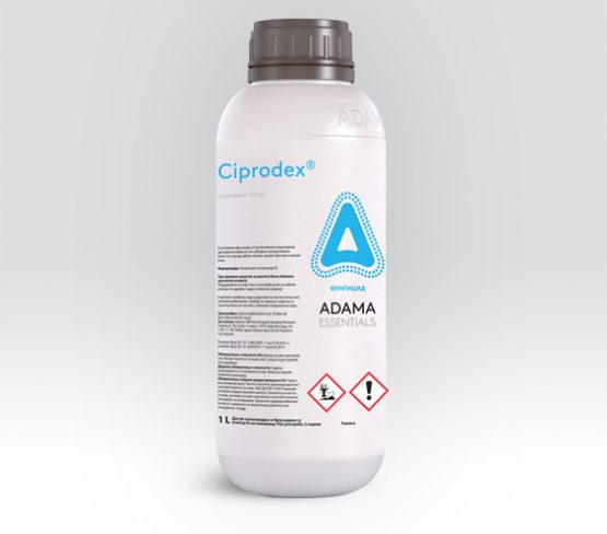 Ciprodex