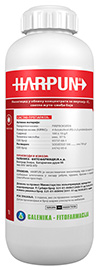 Harpun