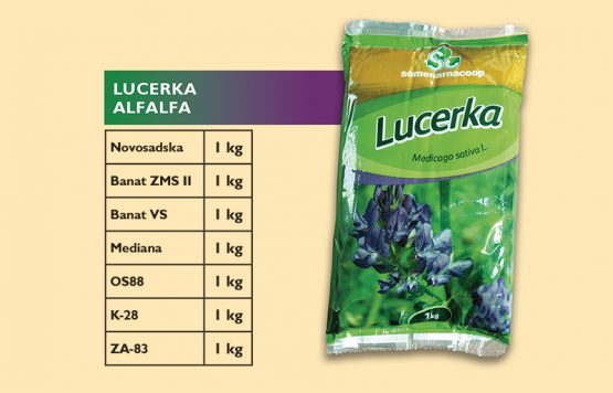 Lucerka - seme