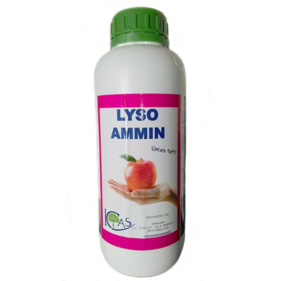 Lyso Ammin