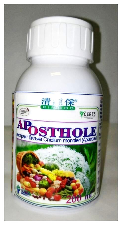 Aposthole
