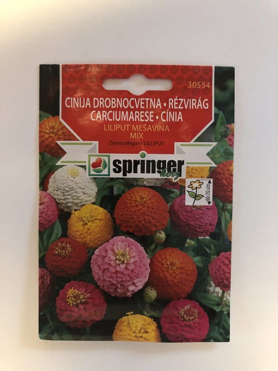 springer seme cinija drobnocvetna