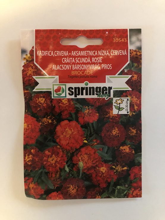 springer seme crvena kadifica