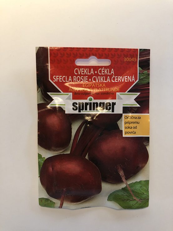 Cvekla Egipatska springer seme