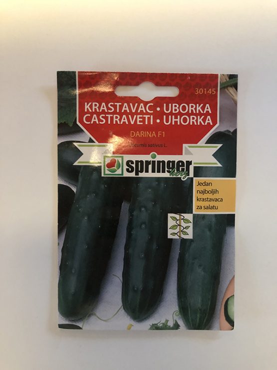 springer seme krastavac darina f1