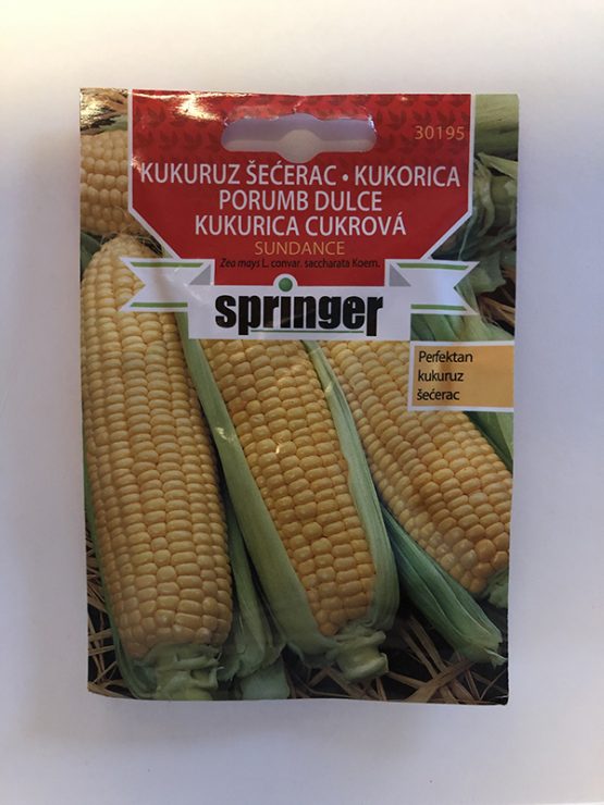 springer seme kukuruz secerac
