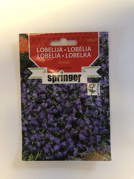 springer seme lobelija