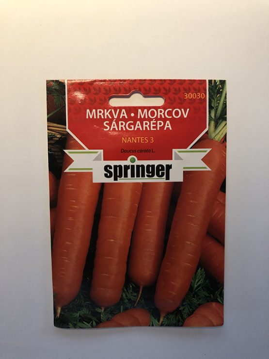 springer seme mrkva