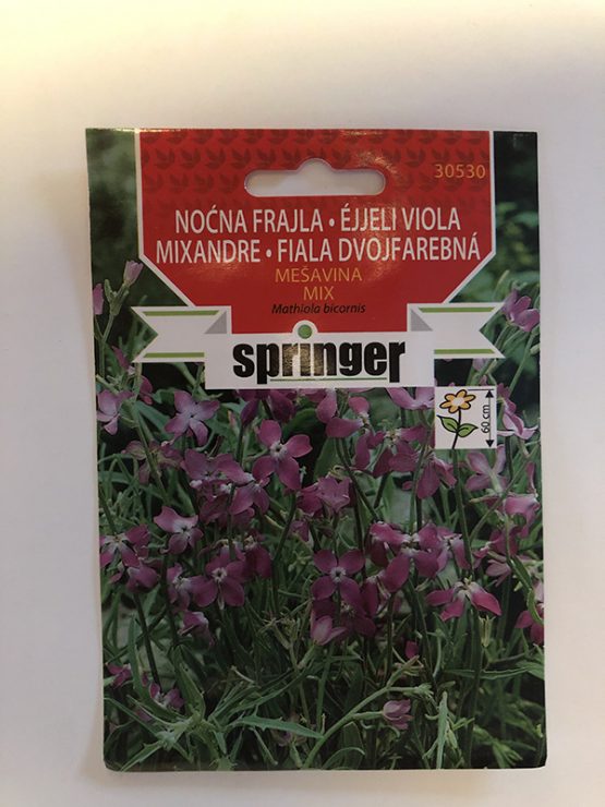 springer seme nocna frajla