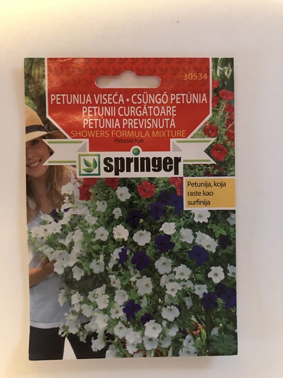 springer seme petunija viseća