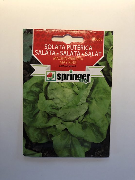 springer seme salata puterica majska kraljica
