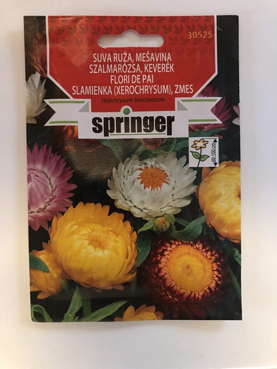 springer seme suva ruža