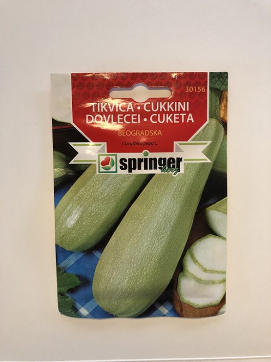 springer seme tikvica