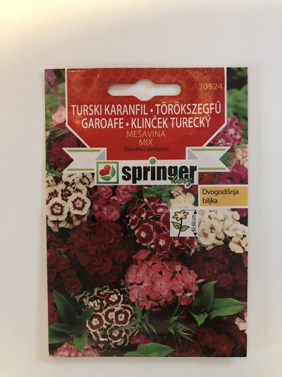 springer seme turski karanfil