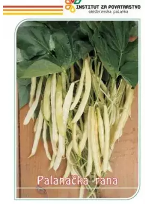 boranija palanačka rana