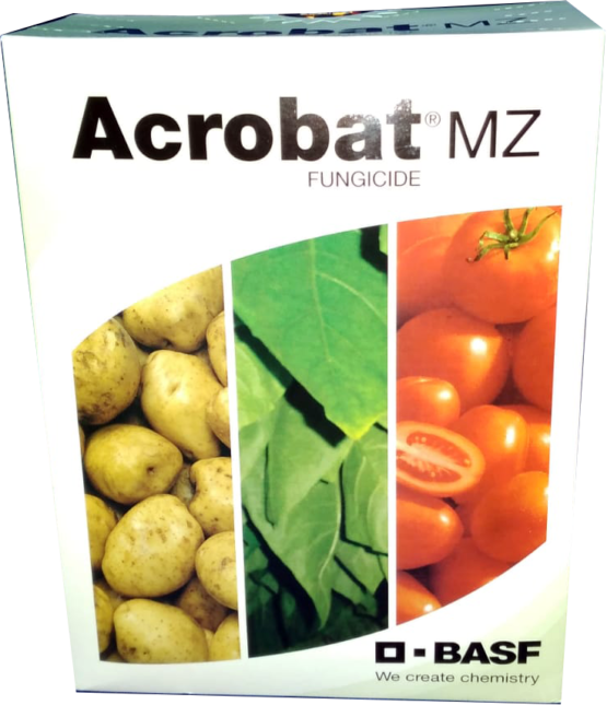 acrobat mz wp
