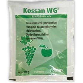 Kossan WG 1kg