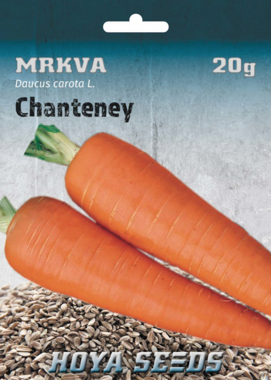 mrkva chanteney sargarepa