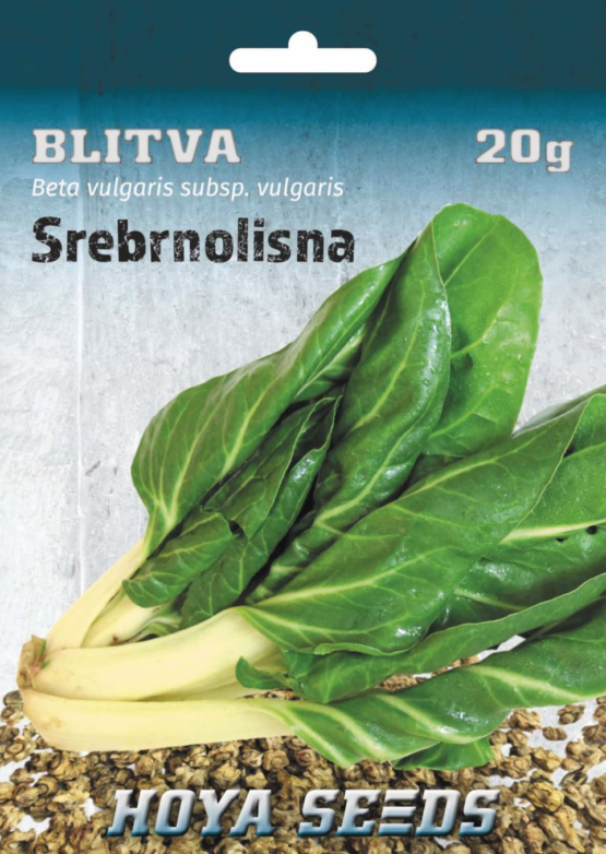 blitva srebrnolisna
