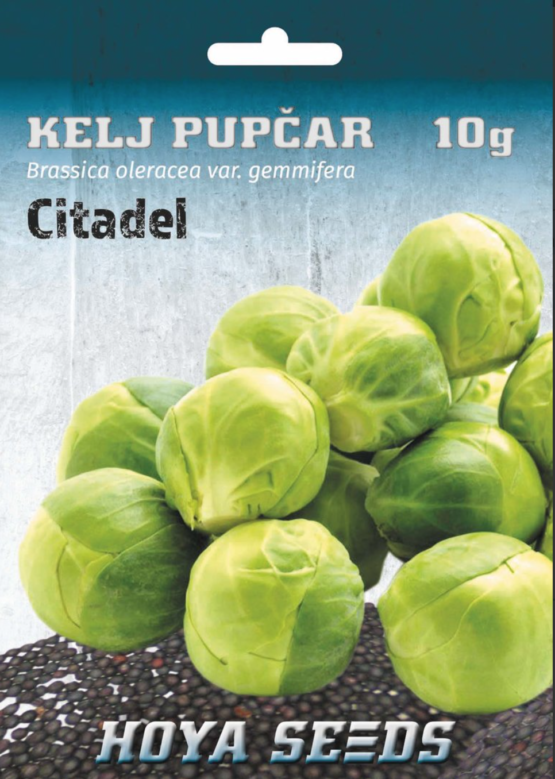 kelj pupčar citadel