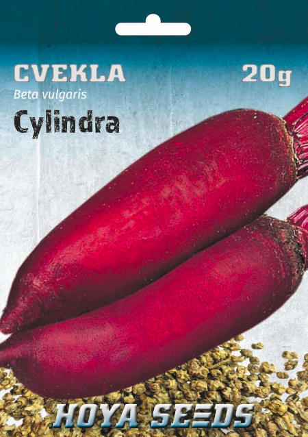cvekla cilindra