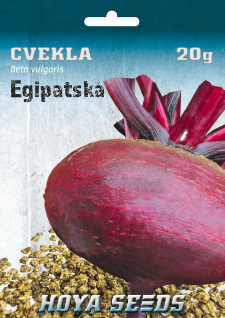 cvekla egipatska