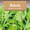 rukola