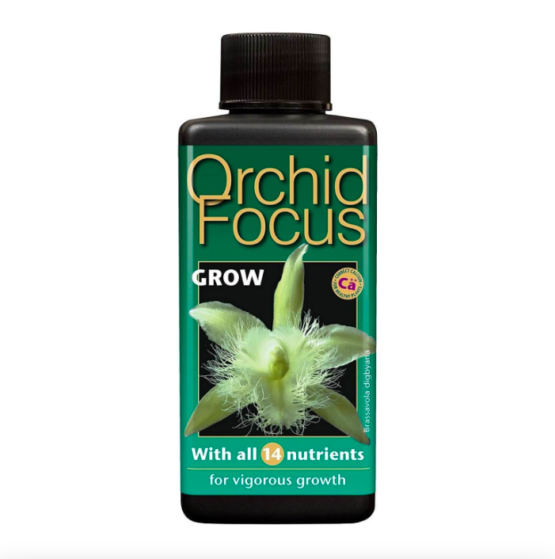 orchid focu grow