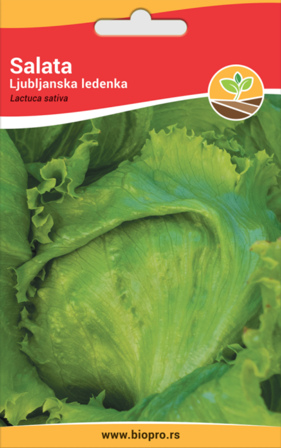 salata ljubljanska ledenka