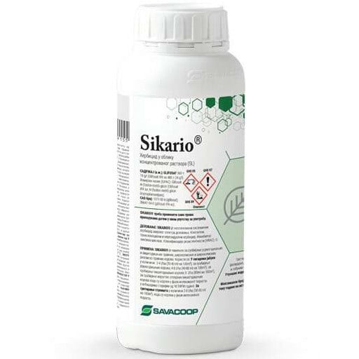 Sikario