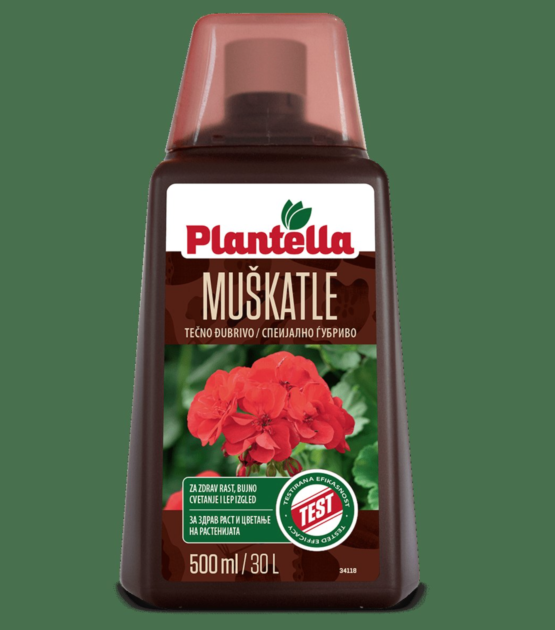 plantella muškatle